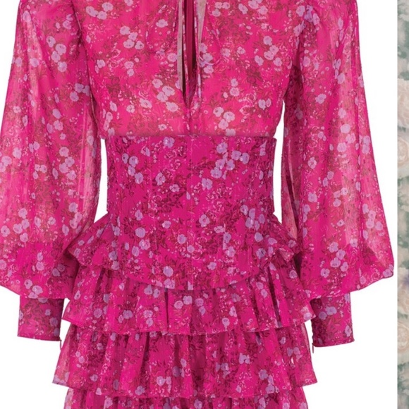 Vitoria in Paradiso Rosa Dress - Picture 3 of 5